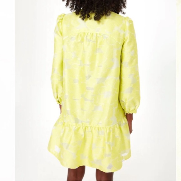 TUCKERNUCK Citron Fil Coupe Palmerston Dress Size Medium - Picture 3 of 7